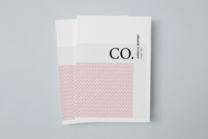 demo-attachment-18-CO.-Annual-Report